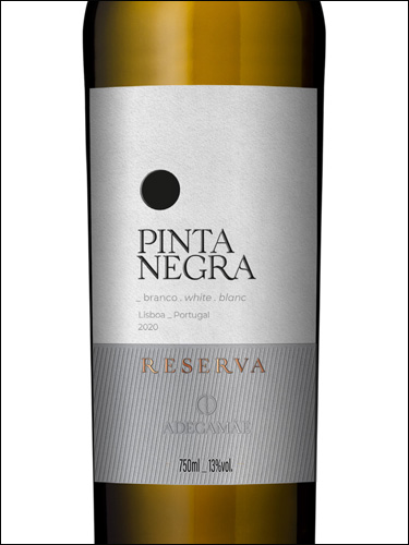 фото Adegamae Pinta Negra Reserva Branco Адегамай Пинта Негра Резерв Бранку Португалия вино белое
