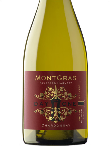 фото MontGras Day One Chardonnay МонтГрас Дэй Ван Шардоне Чили вино белое