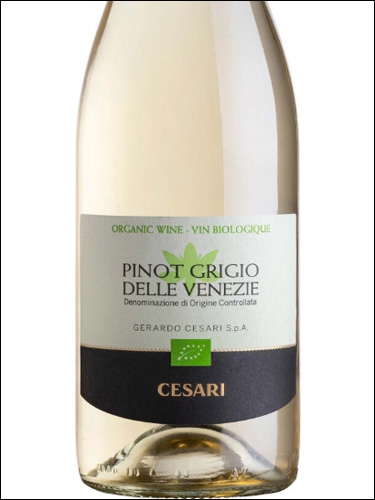 фото Cesari Pinot Grigio delle Venezie DOC Чезари Пино Гриджио делле Венецие Италия вино белое