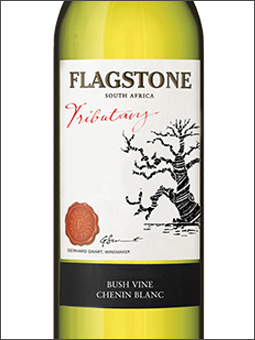 фото Flagstone Tributary Chenin Blanc Флэгстоун Трибьютари Шенен Блан ЮАР вино белое