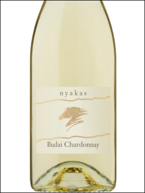 фото Nyakas Budai Chardonnay Szaraz Ньякаш Будаи Шардоне Сараз Венгрия вино белое