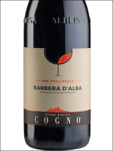 фото Cogno Pre-Phylloxera Barbera d'Alba DOC Коньо Пре-Филлоксера Барбера д'Альба Италия вино красное