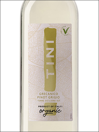 фото Tini Grecanico - Pinot Grigio Organic Terre Siciliane IGT Тини Греканико - Пино Гриджио Органик Терре Сичилиане Италия вино белое