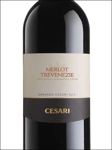 фото Cesari Merlot Trevenezie IGT Чезари Мерло Тревенецие Италия вино красное