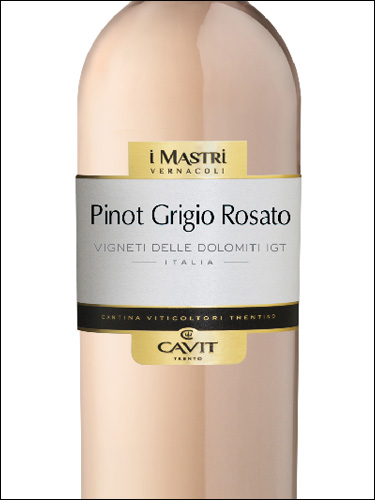 фото Сavit Mastri Vernacoli Pinot Grigio Rosato Vigneti delle Dolomiti IGT Кавит Мастри Вернаколи Пино Гриджио Розато Виньети делле Доломити Италия вино розовое