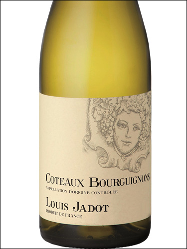 фото Louis Jadot Coteaux Bourguignons Blanc AOC Луи Жадо Кото Бургиньон Блан Франция вино белое