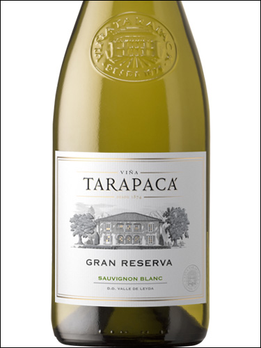 фото Tarapaca Gran Reserva Sauvignon Blanc Тарапака Гран Резерва Совиньон Блан Чили вино белое