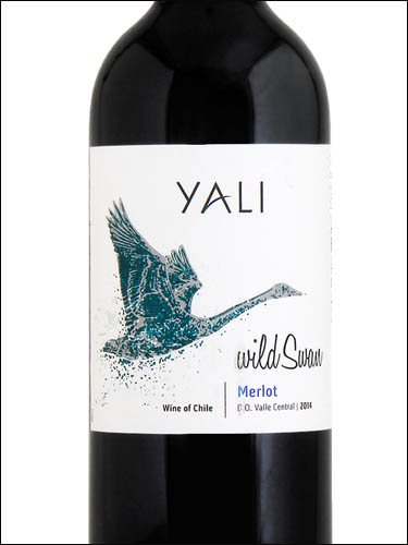 фото Yali Wild Swan Merlot Valle Central DO Яли Уайлд Свэн Мерло Центральная  Долина Чили вино красное