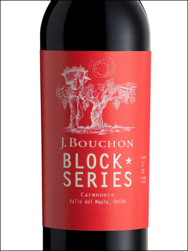 фото J.Bouchon Block Series Carmenere Valle del Maule Х.Бушон Блок Сериес Карменер Долина Мауле Чили вино красное