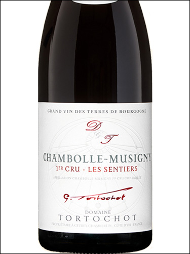 фото Domaine Tortochot Chambolle-Musigny Premier Cru Les Sentiers AOC Домен Тортошо Шамболь-Мюзиньи Премье Крю Ле Сантье Франция вино красное