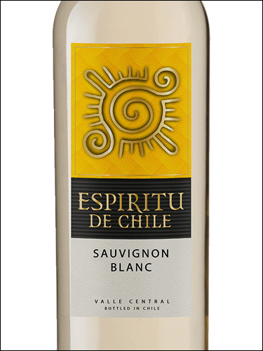 фото Espiritu de Chile Sauvignon Blanc Эспириту де Чили Совиньон Блан Чили вино белое