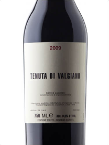фото Tenuta di Valgiano Colline Lucchesi DOC Тенута ди Вальджано Коллине Луккези Италия вино красное