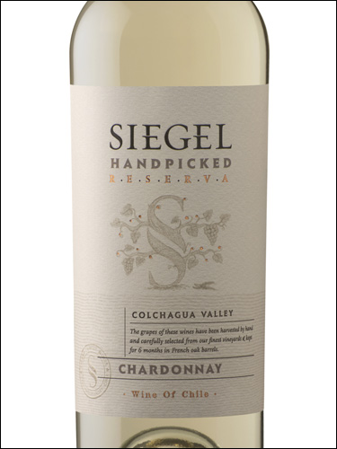 фото Siegel Handpicked Reserva Chardonnay Сигель Хэндпикт Резерва Шардоне Чили вино белое