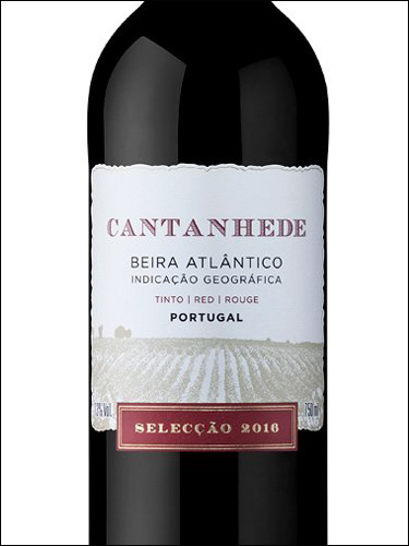 фото Cantanhede Tinto Beira Atlantico IG Кантаньеде Тинту Бейра Атлантику Португалия вино красное