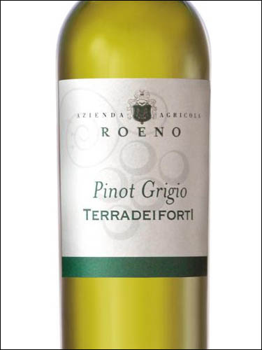 фото Roeno Pinot Grigio Terradeiforti DOC Роэно Пино Гриджио Террадеифорти Италия вино белое