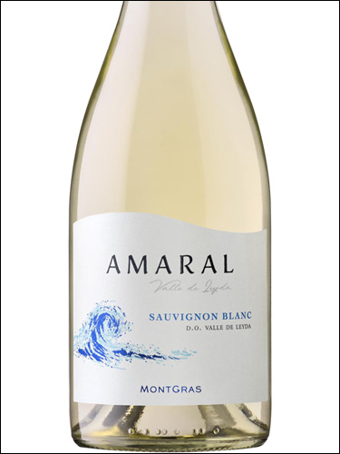 фото MontGras Amaral Sauvignon Blanc Leyda Valley DO МонтГрас Амараль Совиньон Блан Долина Лейда Чили вино белое