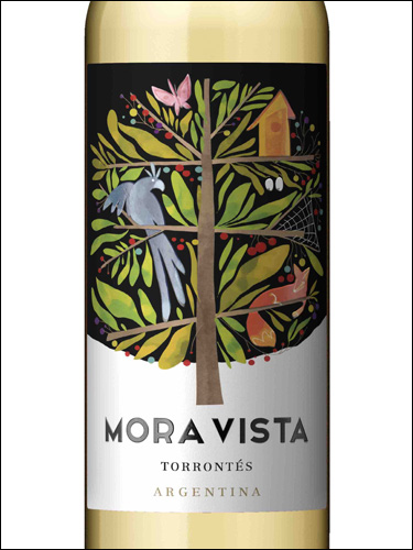 фото Mora Vista Torrontes Мора Виста Торронтес Аргентина вино белое