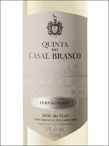 фото Quinta do Casal Branco Fernao Pires do Tejo DOC Кинта ду Казал Бранку Фернан Пиреш Тежу Португалия вино белое