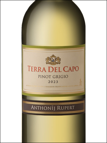 фото Terra Del Capo Pinot Grigio Терра Дель Капо Пино Гриджио ЮАР вино белое