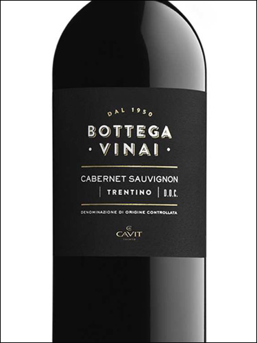 фото Сavit Bottega Vinai Cabernet Sauvignon Trentino DOC Кавит Боттега Винай Каберне Совиньон Трентино Италия вино красное