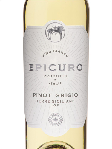 фото Epicuro Pinot Grigio Terre Siciliane IGP Эпикуро Пино Гриджио Терре Сичилиане Италия вино белое