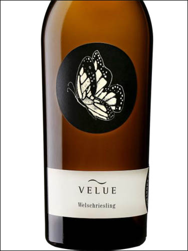фото Johannes Zillinger Velue Welschriesling Niederosterreich Йоханнес Циллингер Велю Вельшрислинг Нижняя Австрия Австрия вино белое