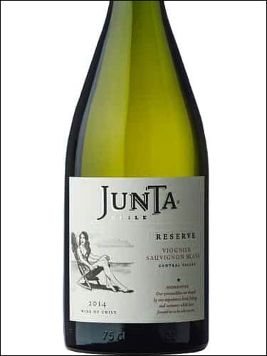 фото Junta Momentos Reserve Viognier Sauvignon Blanc Хунта Моментос Резерв Вионье Совиньон Блан Чили вино белое