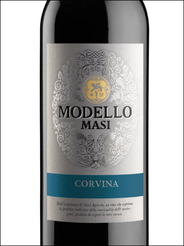фото Masi Modello Corvina Verona IGT Мази Моделло Корвина Верона Италия вино красное
