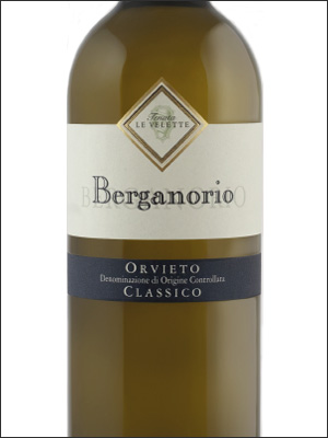 фото Tenuta Le Velette Berganorio Orvieto Classico DOC Тенута Ле Велетте Берганорио Орвието Классико Италия вино белое