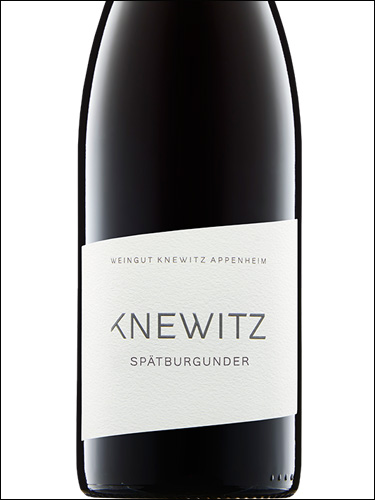 фото Knewitz Spatburgunder Кневиц Шпетбургундер Германия вино красное