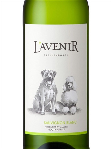 фото L’Avenir Far & Near Sauvignon Blanc Л'Авенир Фар & Ниэ Совиньон Блан ЮАР вино белое