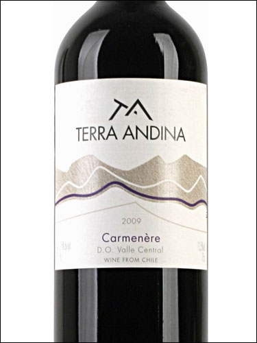 фото Terra Andina Carmenere Valle Central DO Терра Андина Карменер Центральная Долина Чили вино красное