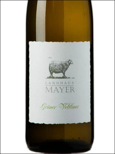 фото Landhaus Mayer Gruner Veltliner Ландхаус Майер Грюнер Вельтлинер Австрия вино белое