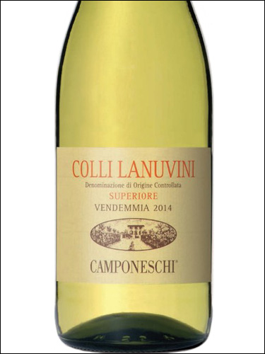 фото Camponeschi Colli Lanuvini Superiore DOC Кампонески Колли Ланувини Супериоре Италия вино белое