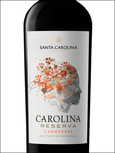 фото Santa Carolina Carolina Reserva Carmenere Санта Каролина Каролина Ресерва Карменер Чили вино красное