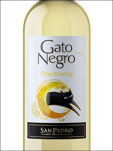 фото San Pedro Gato Negro Chardonnay Central Valley DO Сан Педро Гато Негро Шардоне Чили вино белое