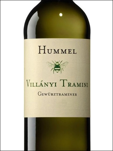 фото Hummel Villanyi Tramini Gewürztraminer Хуммель Виллани Трамини Гевюрцтраминер Венгрия вино белое