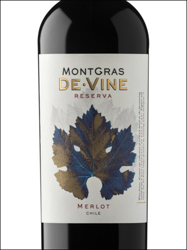 фото MontGras De Vine Reserva Merlot Valle Central МонтГрас Де Вине Резерва Мерло Центральная Долина Чили вино красное
