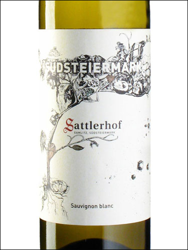 фото Sattlerhof Sauvignon Blanc Sudsteiermark Заттлерхоф Совиньон Блан Зюдштайермарк Австрия вино белое