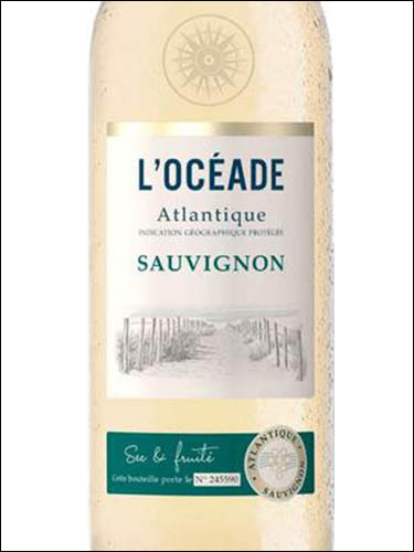 фото L'Oceade Sauvignon Atlantique IGP Л'Осеад Совиньон Атлантик Франция вино белое