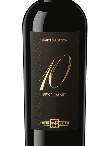 фото Tenuta Ulisse 10 Vendemmie Limited Edition Тенута Улиссе 10 Вендемие Лимитед Эдишн Италия вино красное
