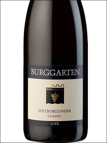 фото Burggarten Spatburgunder Classic trocken Ahr Бурггартен Шпетбургундер Классик трокен Ар Германия вино красное