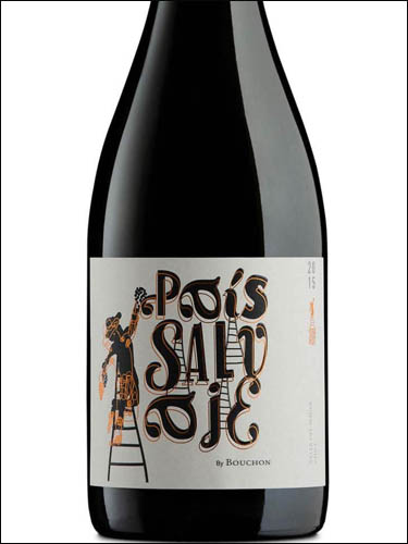 фото Pais Salvaje by Bouchon Maule valley DO Паис Сальвахе бай Бушон Долина Маули Чили вино красное