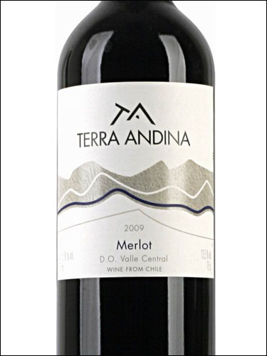 фото Terra Andina Merlot Valle Central DO Терра Андина Мерло Центральная Долина Чили вино красное