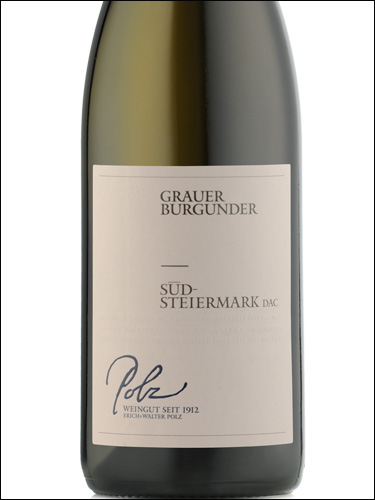 фото Polz Grauer Burgunder Sudsteiermark DAC Польц Грауэр Бургундер Южная Штирия Австрия вино белое