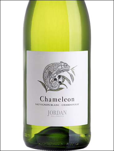 фото Jordan Chameleon Sauvignon Blanc – Chardonnay Джордан Хамелеон Совиньон Блан - Шардоне ЮАР вино белое