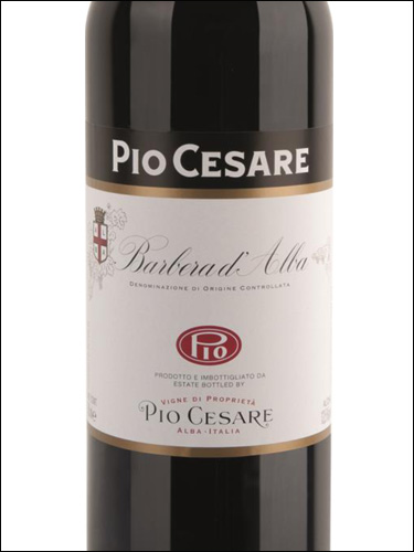 фото Pio Cesare Barbera d’Alba DOC Пио Чезаре Барбера д'Альба Италия вино красное