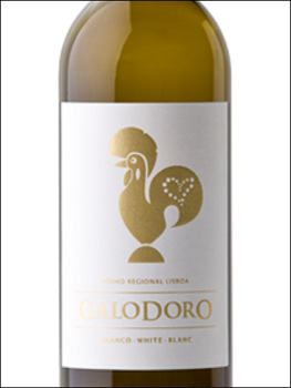 фото Quinta do Conde Galodoro Branco Vinho Regional Lisboa Кинта ду Конде Галодоро Бранку ВР Лиссабон Португалия вино белое