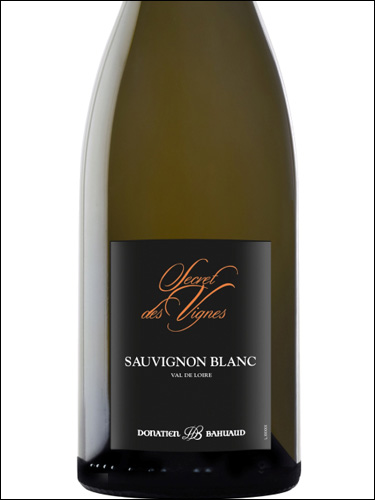 фото Donatien Bahuaud Secret des Vignes Sauvignon Blanc Val de Loire IGP Донасьен Бао Секре де Винь Совиньон Блан Валь де Луар Франция вино белое
