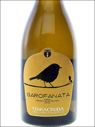 фото Terracruda Garofanata Marche IGT Терракруда Гарофаната Марке Италия вино белое